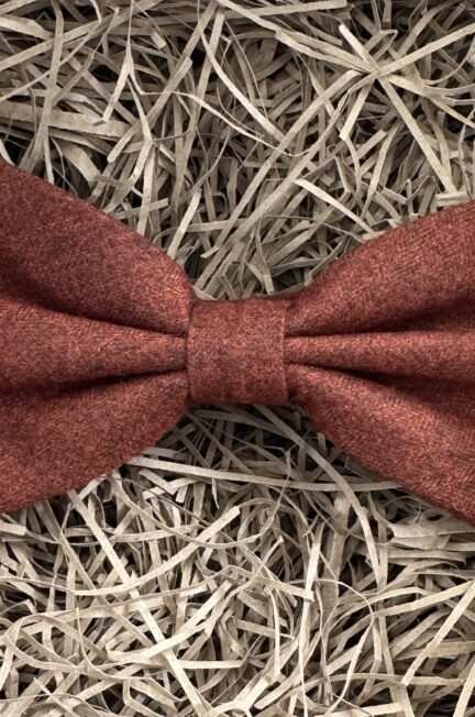 A photo of a burnt orange pre-tied bow tie on an adjustable strap